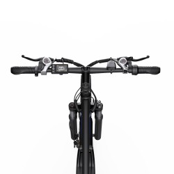 Vélo Électrique DUOTTS C29