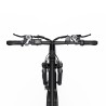 Vélo Électrique DUOTTS C29