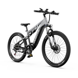 Vélo Électrique DUOTTS E29