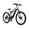 Vélo Électrique DUOTTS E29