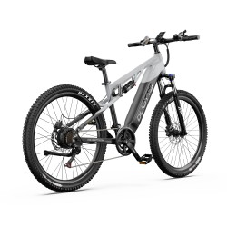 Vélo Électrique DUOTTS E29