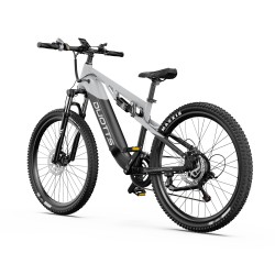 Vélo Électrique DUOTTS E29