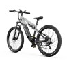 Vélo Électrique DUOTTS E29