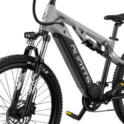 Vélo Électrique DUOTTS E29