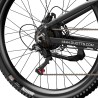 Vélo Électrique DUOTTS E29