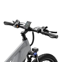 Vélo Électrique DUOTTS E29