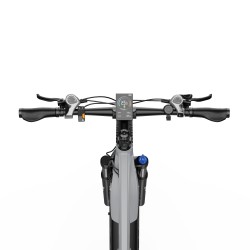 Vélo Électrique DUOTTS E29