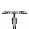 Vélo Électrique DUOTTS E29