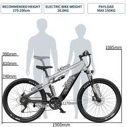Vélo Électrique DUOTTS E29