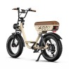 Fatbike Électrique Onesport W77