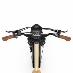 Fatbike Électrique Onesport W77