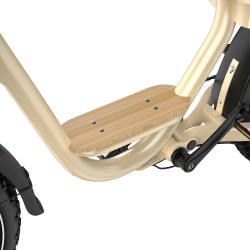 Fatbike Électrique Onesport W77