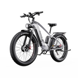 Vélo Électrique DUOTTS F26